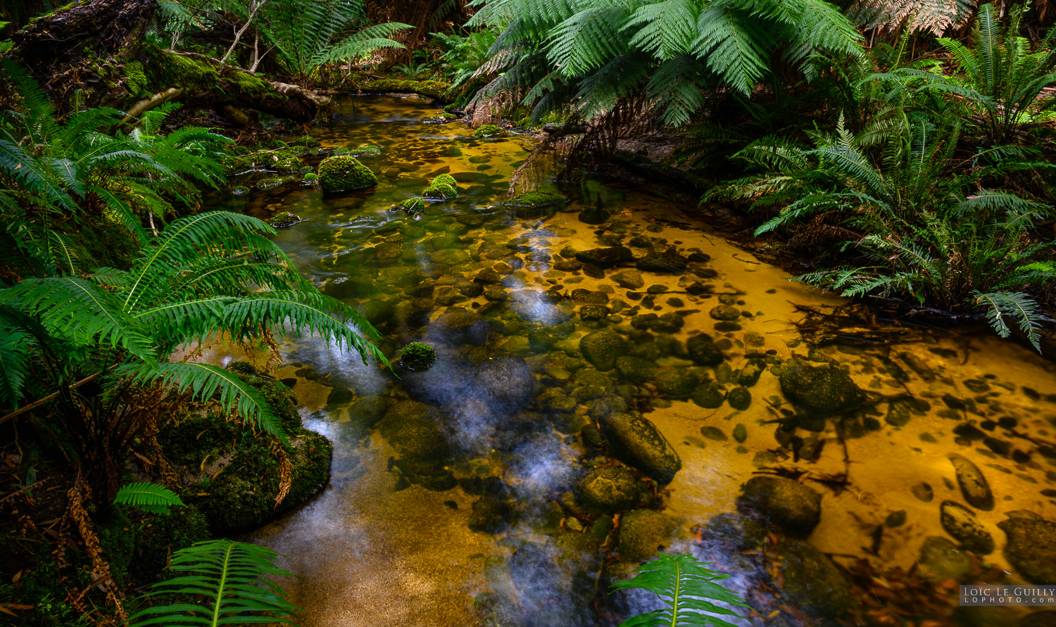 photograph of Blue Tier creek